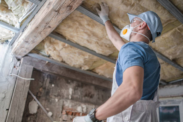 Best Cellulose Insulation  in Adamstown, PA