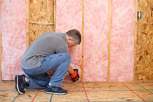 Best Insulation Contractors for Homes  in Adamstown, PA